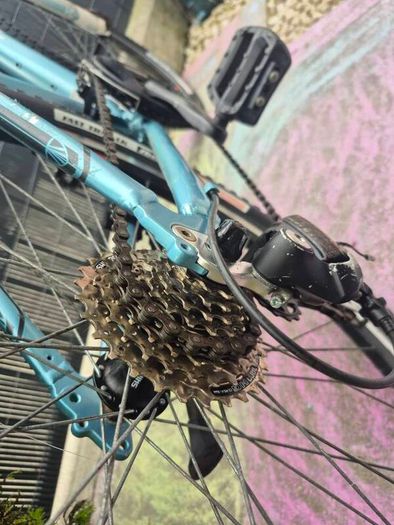 TREK Skye S Mountain Bike