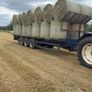 Top quality Hay Image 4