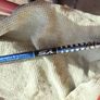 cobra speed LD 3 wood Image 4