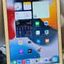 Apple iPad 5th Gen A1822 128GB, Wi-Fi , 9.7in - 2017 Model - Gold Image 2