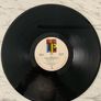 U2 - Live Under A Blood Red Sky, 12 inch vinyl, Island Records Original 1983, Mini LP Image 5