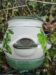 ceramic herb pot pot