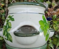 ceramic herb pot pot