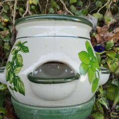 ceramic herb pot pot