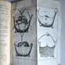 1742. The Philosophical History and Memoirs of the Royal Academy of Sciences at Paris. 1st Edition.  London, First Edition, Octavo, 8vo, Antiquarian, Rare Book, Scientific, Natural Philosophy, French Science, Translation, Abridgment, Copper-Plates. Image 5
