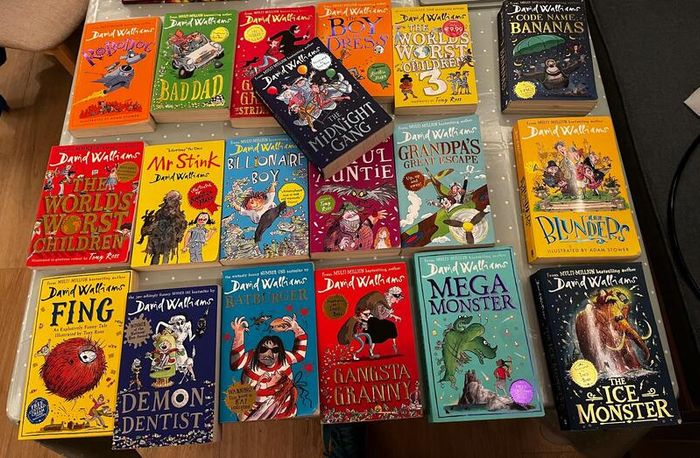 Collection of 19 David Walliams Children's Books