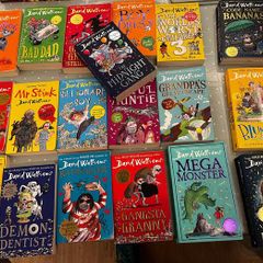 Collection of 19 David Walliams Children's Books