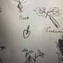 2 Books . Up in the Garden & Down in the Dirt. / Warr is Fe Taart? ( Dutch) Image 3