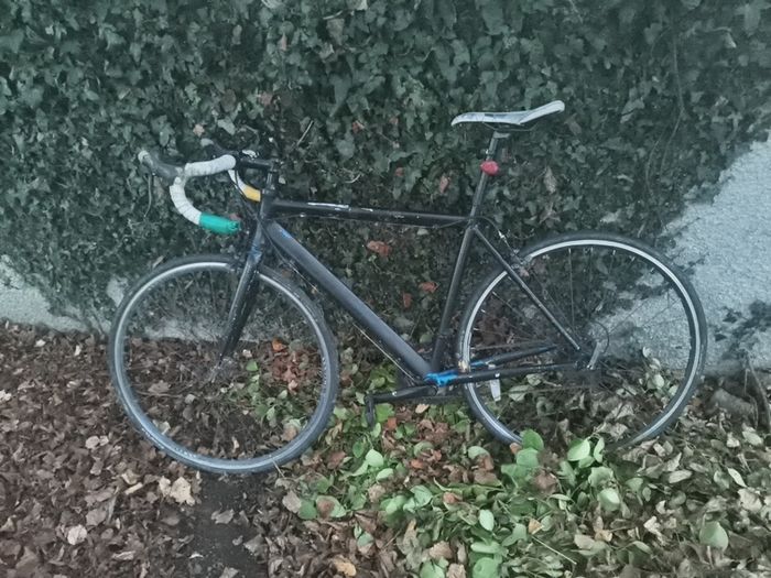 bike