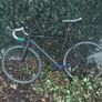 bike Image 2