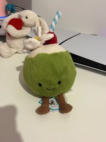 Authentic Jellycat coconut