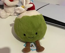 Authentic Jellycat coconut