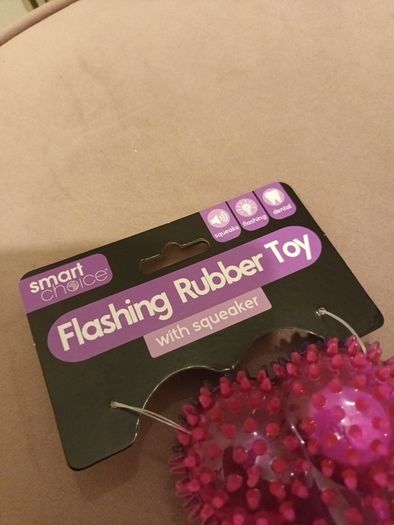 Flashing squeaker dog toy