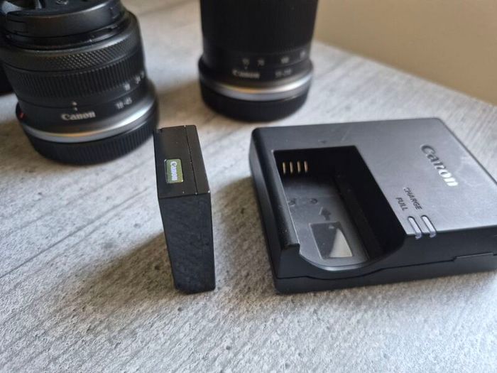 Canon R100