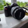 Nikon D40 Image 2
