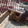 DIY Raised Garden Beds Image 5