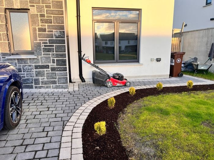 petrol lawnmower