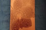 Orchid guide book