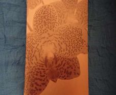 Orchid guide book