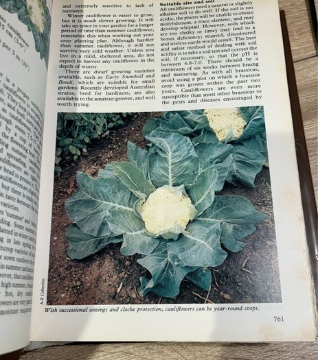 Vintage Marshall Cavendish - Grow Your Own Fruit / Vegetables Part 1&2
