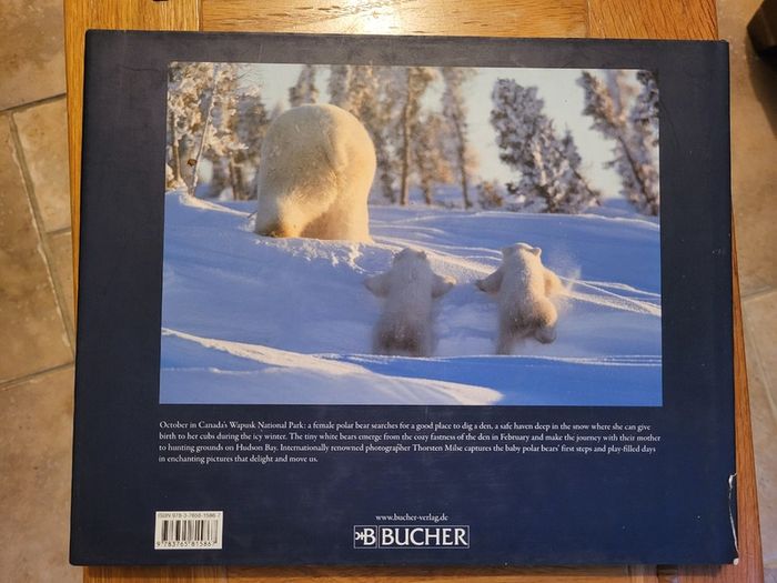 Little Polar Bears by Thorsten Milse.