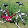 Ladys Bike Image 5