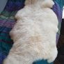Genuine Sheepskin Image 4