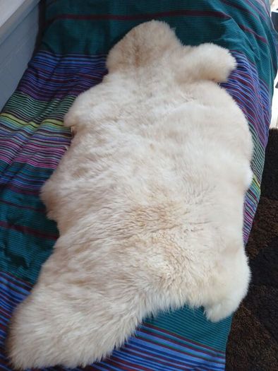 Genuine Sheepskin