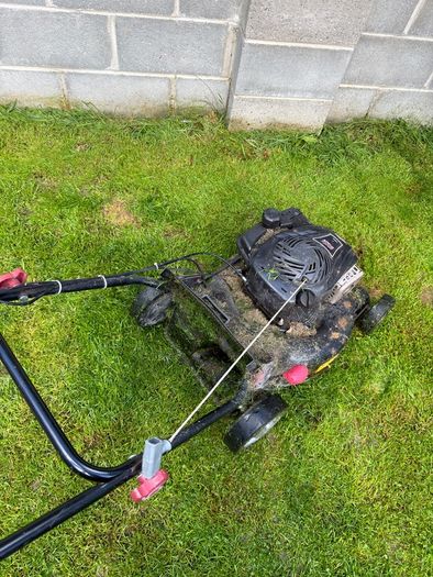 Lawnmower Pro-lawn + Ryobi petrol strimmer