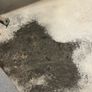 Cast Iron Bathtub Image 4