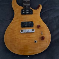 Prs Se Pauls Guitar
