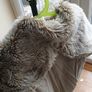 Gorgeous M&S Coat with Feature Hood Age 2 to 3 Yrs Image 10