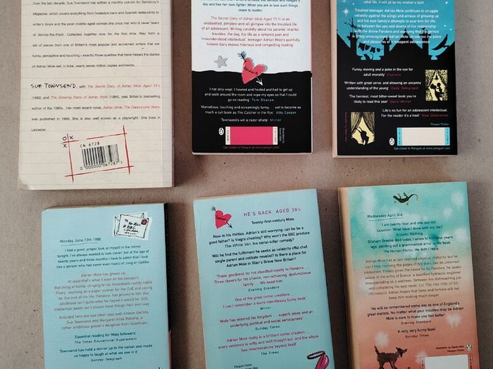 Sue Townsend / Adrian Mole 6-Book Collection Bundle