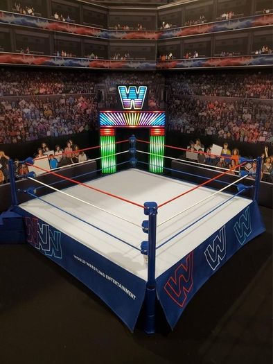 WWE Mattel Ultimate Edition ring with Ultimate Edition Savage