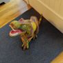 T-Rex Dinosaur Image 2