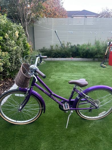 Purple bike with basket