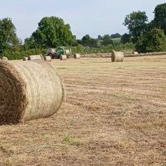 Hay Bales