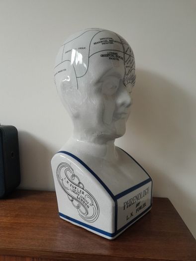 L.N. Fowler Phrenology Head 40cm