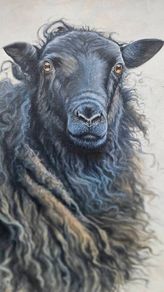 Original Oil Painting