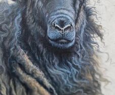 Original Oil Painting