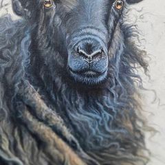 Original Oil Painting