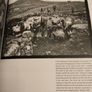 The Other Ireland: Changing Times 1870-1920 Image 7