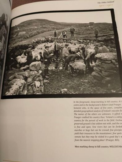 The Other Ireland: Changing Times 1870-1920