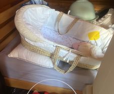 moses basket with stand