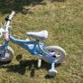 12 Inch Puppy Bike Pastel Blue Image 2