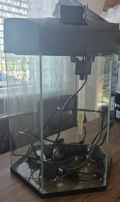 fish tank