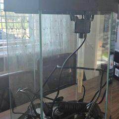 fish tank