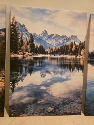 3 framed printed canvas 45x65cm