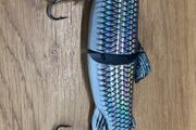 Swim Bait