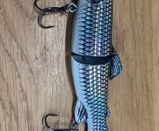 Swim Bait